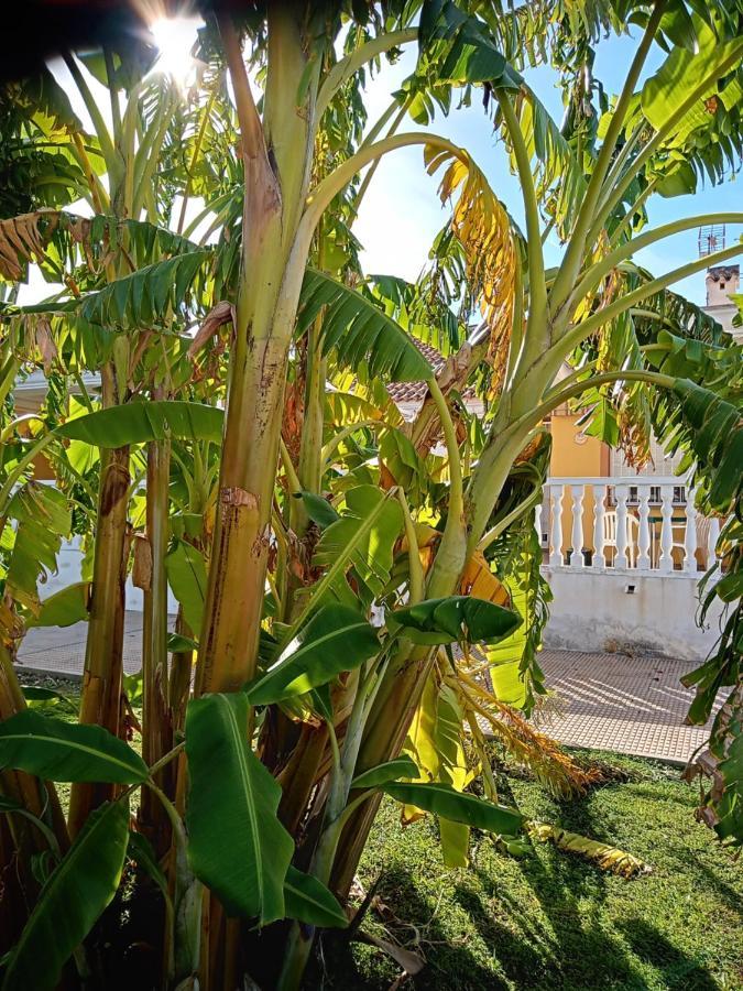 El Paraiso Del Sol Cartagena Eksteriør billede